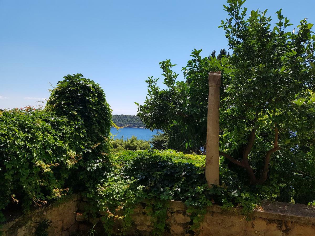 Villa Palmera Дубровник Екстериор снимка